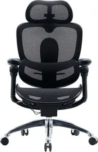 Sihoo C300 PRO V2 Black Office Chair