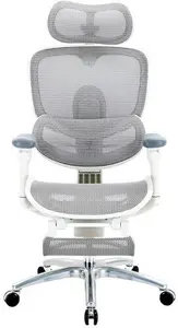 Sihoo C300 LITE V2 White Office Chair
