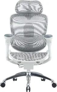 Biroja krēsls Sihoo C300 PRO V2 White ar ergonomisku dizainu un jostasvietas atbalstu