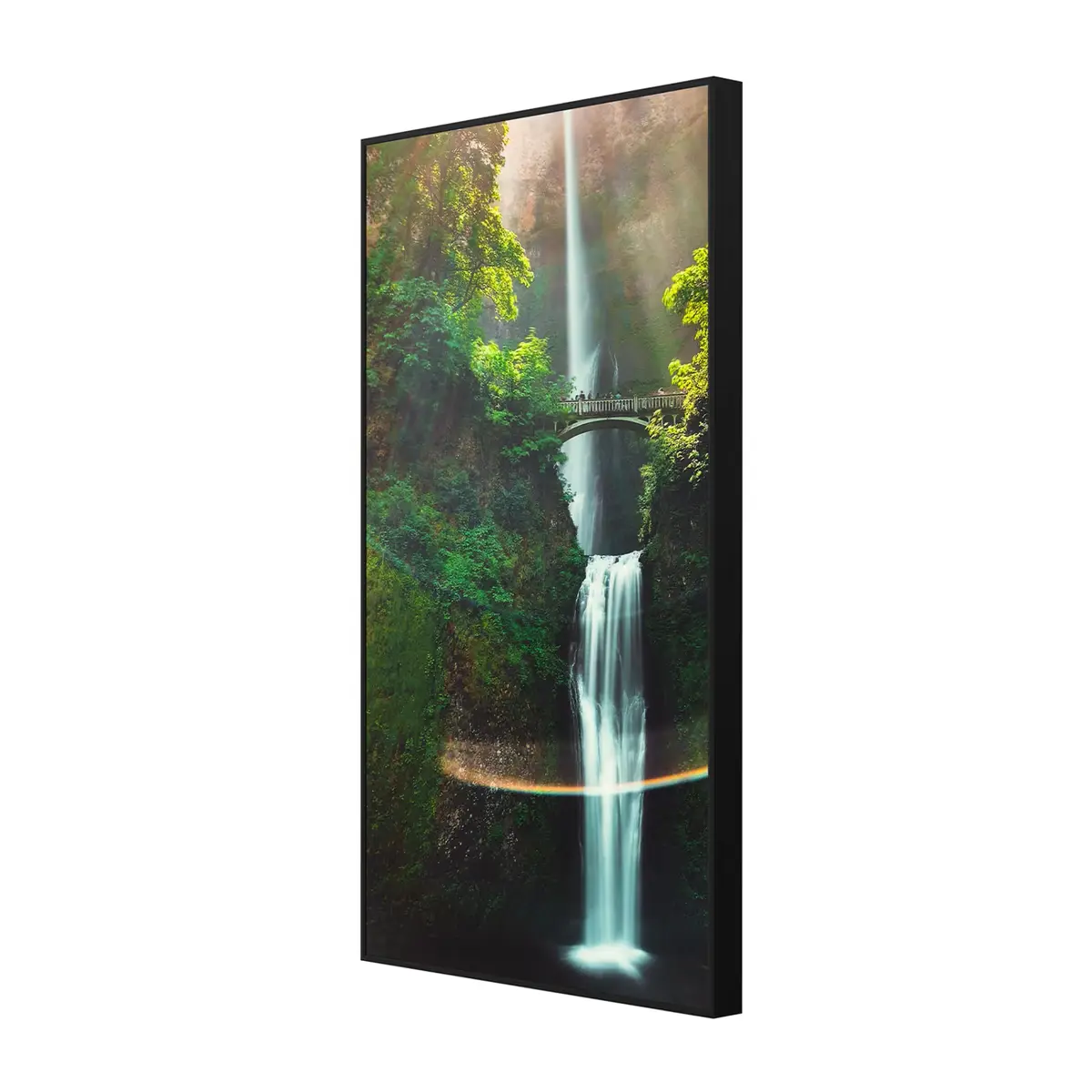 Hisense 75WH80GE High Brightness Window Display 75" Photo 2