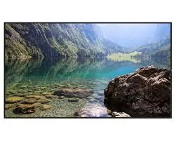 Hisense 75WH80GE High Brightness Window Display 75" Photo 4