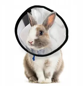 Grande Finale Grande-Finale Post-Operative Collar for Rabbits Size 1