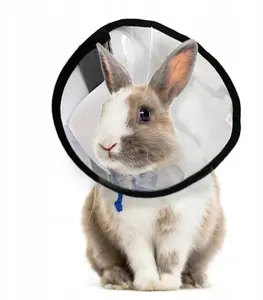 Grande Finale Grande-Finale Post-Operative Collar for Rabbits Size 2