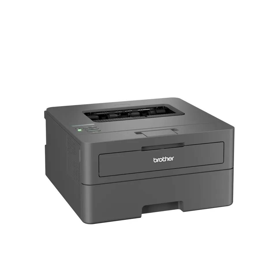 Беспроводной лазерный принтер Brother HL-L2445DW Photo 6