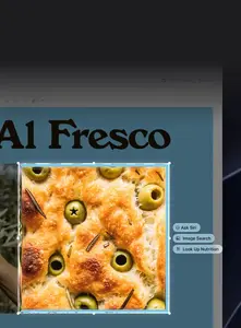Visual Intelligence with Siri on Mac