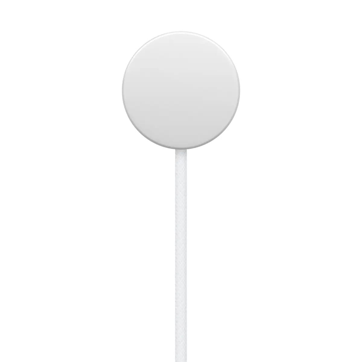 Магнитный кабель Apple USB-C для быстрой зарядки Photo 4