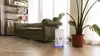 Cecotec TotalPure 2000 Connected Air Purifier Photo 4