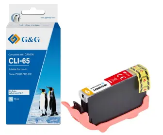 G&G NP-C-0065PC saderīga tintes kasetne foto