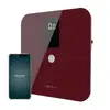 Cecotec 04261 Electronic Personal Scale Photo 4