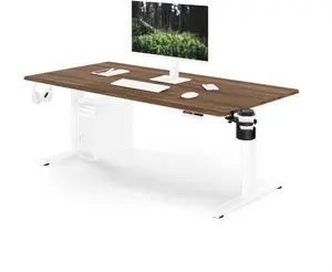 Jan Nowak ARIA Elektriski regulējama augstuma ergonomisks rakstāmgalds, balts/riekstkoks, 1600x800 mm