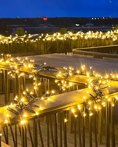 Sirius Top-Line Energy Cluster StartSet 200L LED Ziemassvētku gaismas dekorācija