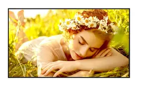 LG 65UL5Q-M Digital Signage Flat Panel 65 Inch 4K Ultra HD LED 500 cd/m² WebOS Wi-Fi 24/7 Commercial Display