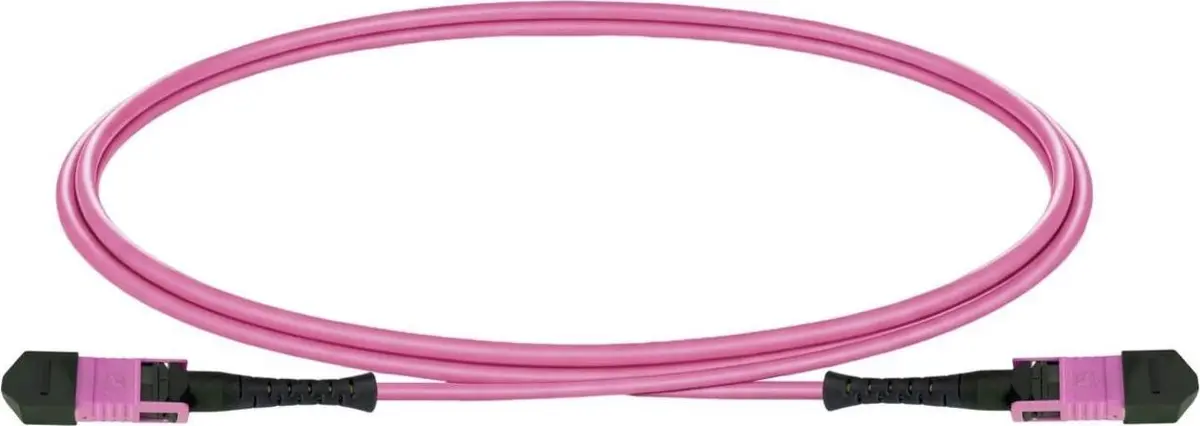 Lightwin MPOP-12-FF-OM4-B 1.0 MPO-12 plākstera