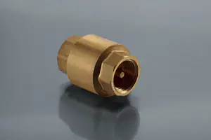 Valvex Spring Check Valve 3/4" with Metal Stem 1900210