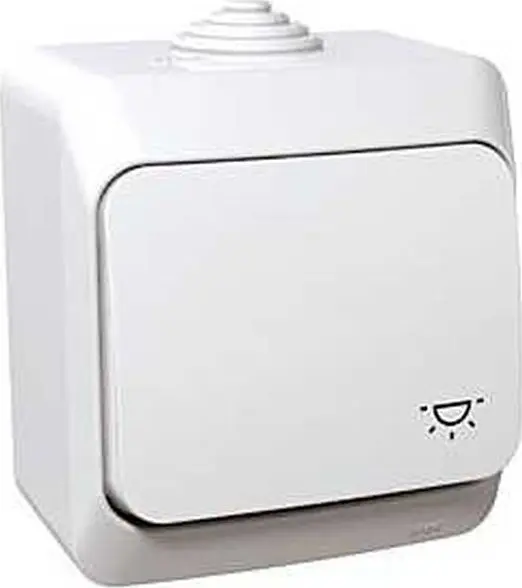 Schneider Electric Cedar Plus Gaismas poga