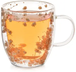 Aptel Double-Walled Thermal Glass Mug 350 ml