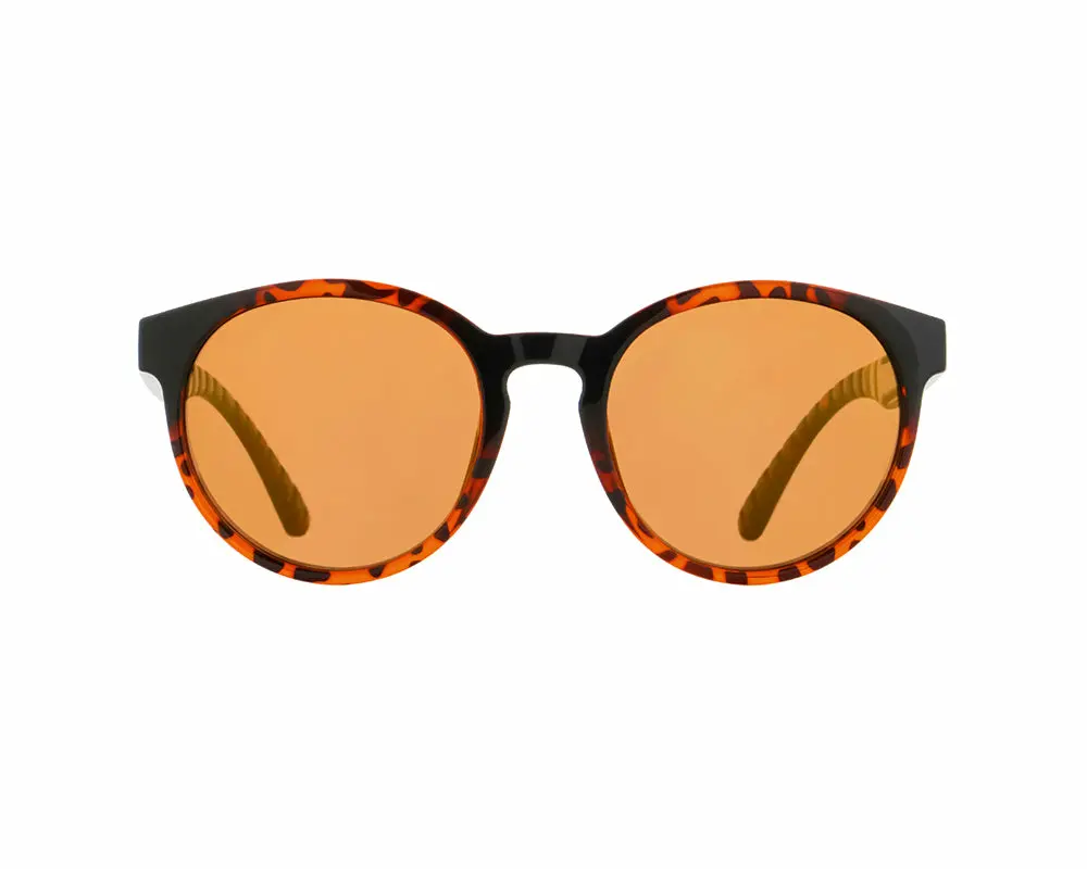 RedBull SPECT Ever Multisporta brilles Photo 3