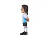 Фигурка MiniX Эрнан Креспо Аргентина WC Legends Photo 5