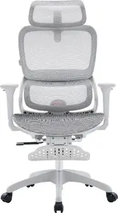 Sihoo B100 Ergonomisks biroja krēsls Mesh White ar kāju balstu