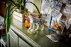 LEGO Creator 3 in 1 Forest Animals: Gray Wolf 31393 Photo 10