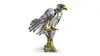LEGO Creator 3 in 1 Forest Animals: Gray Wolf 31393 Photo 13