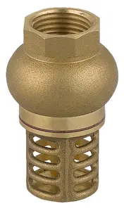 FERRO ZS2K Check Valve with Brass Strainer 1 Inch