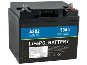 A2D2 battery LiFePO4 12.8V 50Ah M6 (Qinkual cells)