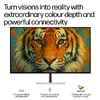 HP Series 7 Pro 31.5 collu 4K Thunderbolt 4 monitors - 732xk Photo 3