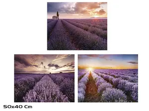 Tempered Glass Wall Picture Decorlife 50x40 cm