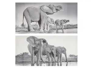 Canvas High Gloss Black And White Elephants 2 Designs Decorlife