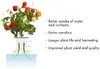 Click & Grow Pro Plant Cups 9pcs Photo 2