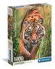 Clementoni 37108 The Hunter's Path 1000-Piece Puzzle Photo 3