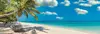 Clementoni 39941 Swinging by the Ocean Puzzle 1000 Pieces Photo 5