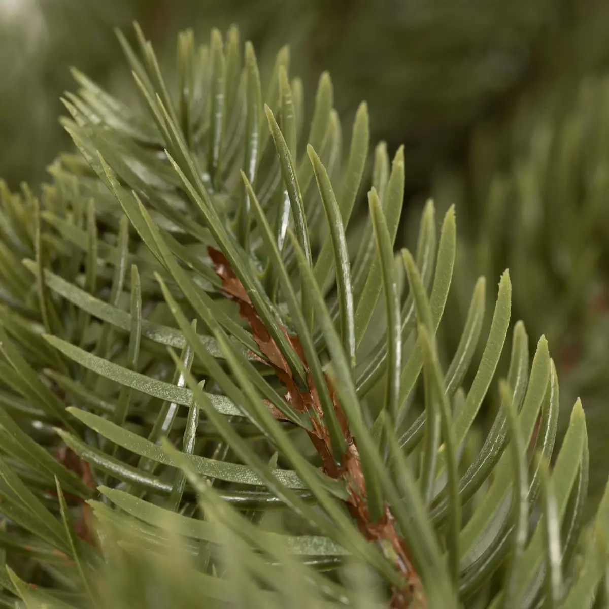 Springos CT0284 Fir Wreath 35 cm Photo 6