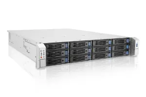 Ernitec 2U 12 Bay Server - Xeon