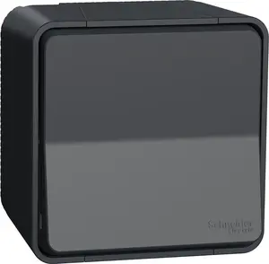 Schneider Electric Mureva MUR35023 Cross Switch IP55 250V Anthracite