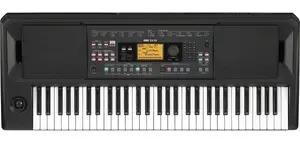 Korg EK-50 Digital Synthesizer with 61 Keys, 10 W RMS Rated Power, Rotary Volume Control, and LCD Display in Black