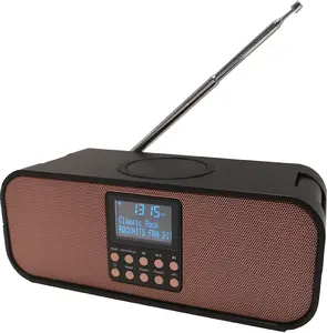 Радиоприемник Scansonic PA8001 DAB+ с беспроводным зарядным устройством