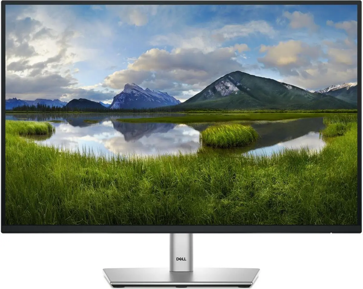 Dell Pro Plus P2425 Monitors Photo 14