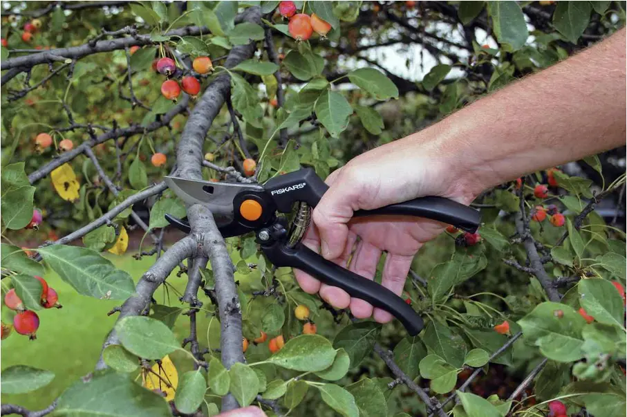 Секатор Fiskars 111960 Photo 3