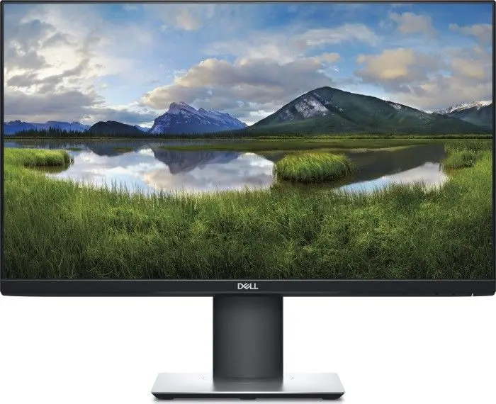Dell P2421 Monitors, 210-AWLE, 8841163699050