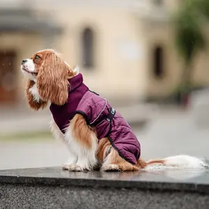 Chaba Kubrak Regulowany Chic Dog Coat Beige Size XL 38cm