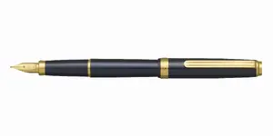 Platinum BISO Nebula Black Fountain Pen F Nib in Box Black
