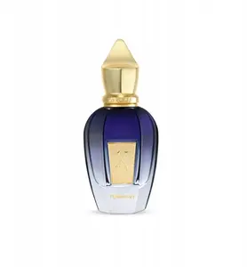Xerjoff Torino21 EDP perfume unisex 100 ml (8054320902379)
