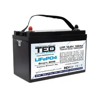 Литий-железо-фосфатный аккумулятор TED LiFePO4 12V 100A с BMS и Bluetooth