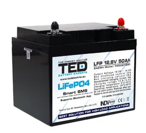 Аккумулятор литий-железо-фосфатный TED LiFePO4 12V 50A с BMS и Bluetooth