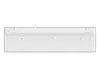 Conceptronic KAYNE02WIT USB Slim Keyboard Photo 4