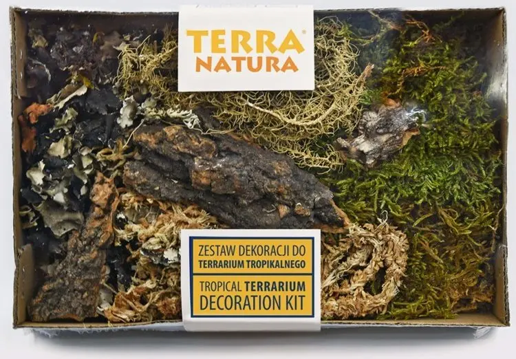 Terra Natura Dekorāciju komplekts tropiskajam terārijam