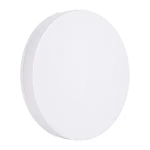 Griestu gaismeklis Lepro 24 W LED 2400 lm 5000 K IP54 28 cm