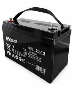 BATGO AGM VRLA Battery 12V 100Ah